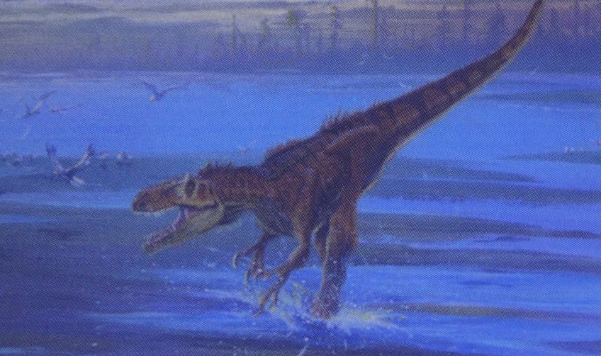 Dromeosaurus